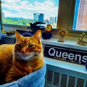 Meet your Posher, Casiar